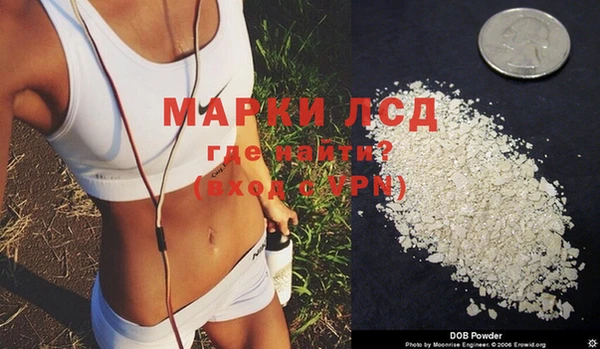 индика Магас