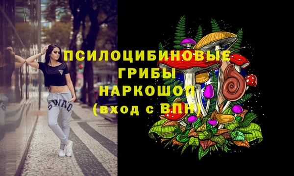 индика Магас