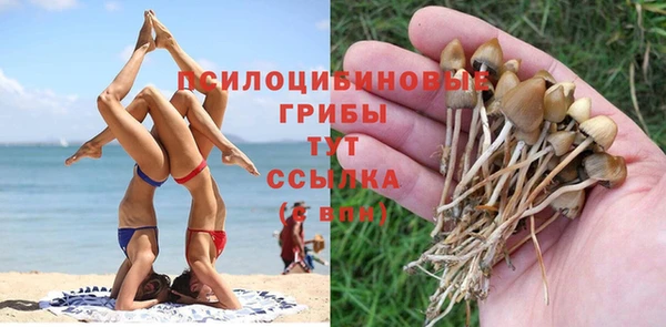 а пвп мука Майский