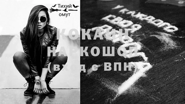 индика Магас