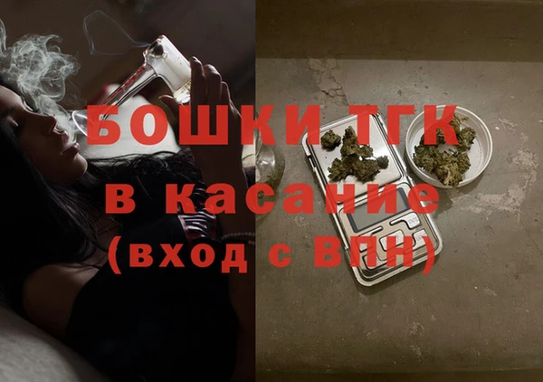 индика Магас