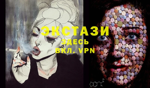 индика Магас