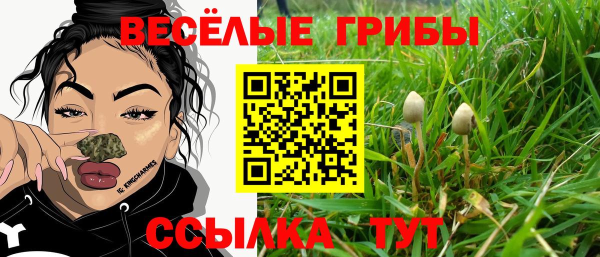 Галлюциногенные грибы прущие грибы Усть-Кут