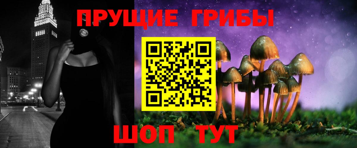 Усть-Кут  Псилоцибиновые грибы Psilocybine cubensis  Вход с VPN 