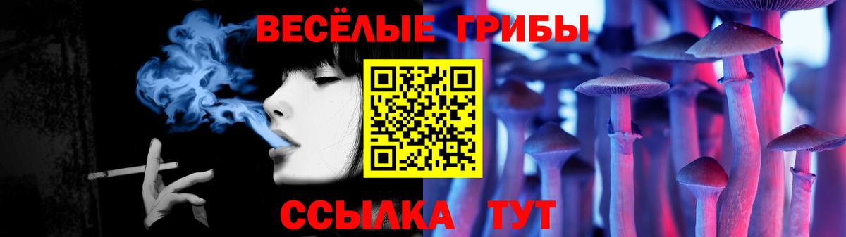 Галлюциногенные грибы Cubensis Усть-Кут